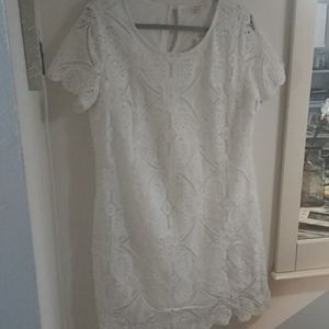 NWOT Skies are Blue cream lace dress